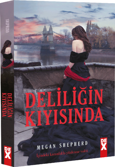 Deliliğin Kıyısında