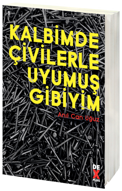 Kalbimde Çivilerle Uyumuş Gibiyim